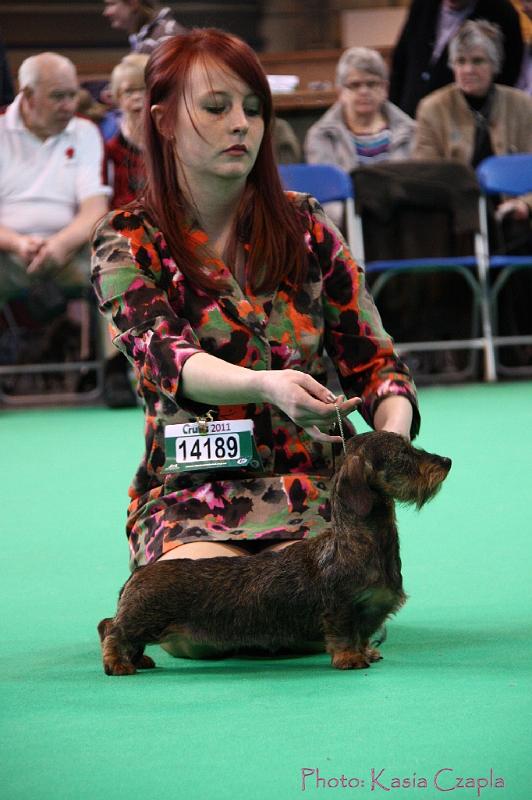 Crufts2011_2 1200.jpg